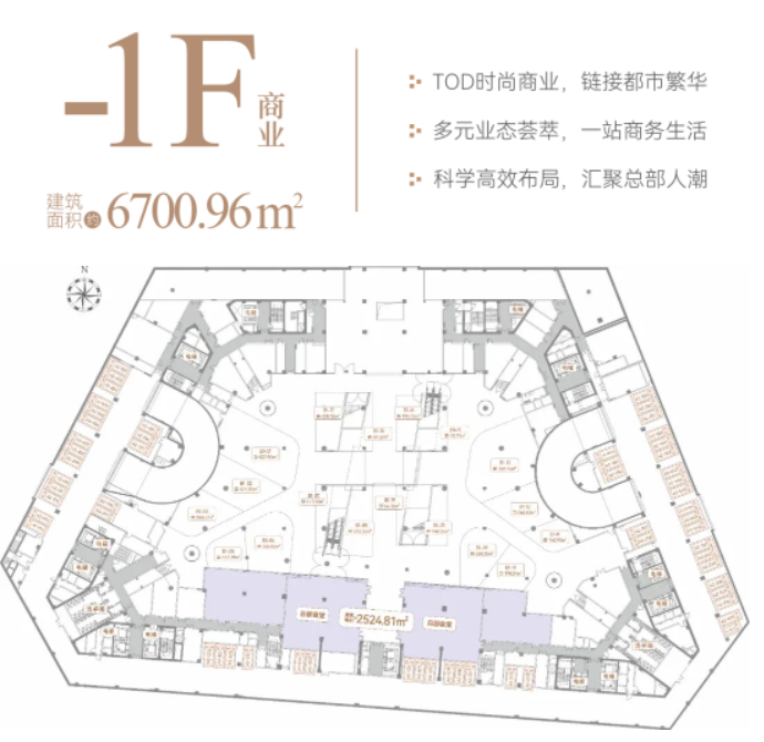 币游·国际(中国)最新官方网站