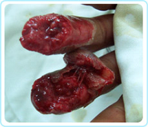 CC网投·(中国游)官方网站