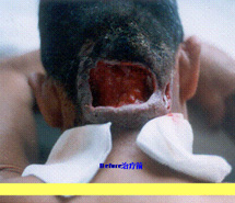 CC网投·(中国游)官方网站