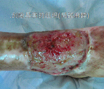 CC网投·(中国游)官方网站