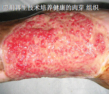 CC网投·(中国游)官方网站