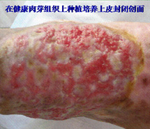 CC网投·(中国游)官方网站