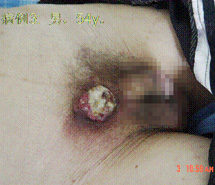 CC网投·(中国游)官方网站