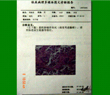 CC网投·(中国游)官方网站