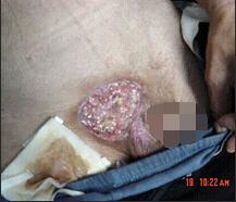 CC网投·(中国游)官方网站