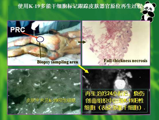 CC网投·(中国游)官方网站