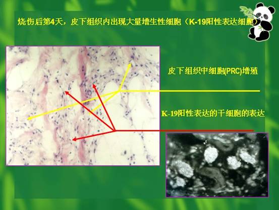 CC网投·(中国游)官方网站