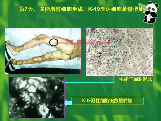 CC网投·(中国游)官方网站
