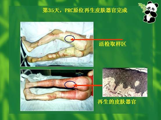 CC网投·(中国游)官方网站