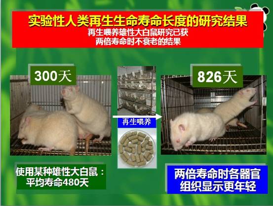 CC网投·(中国游)官方网站