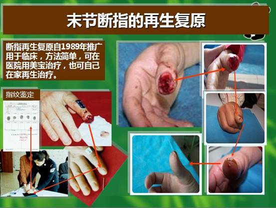 CC网投·(中国游)官方网站