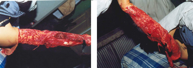 CC网投·(中国游)官方网站