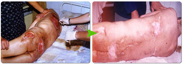 CC网投·(中国游)官方网站