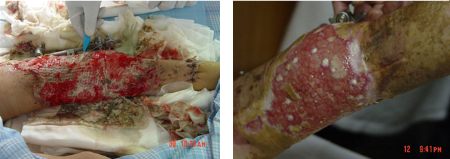 CC网投·(中国游)官方网站