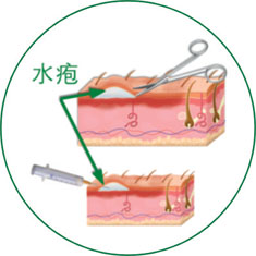 CC网投·(中国游)官方网站