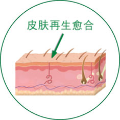 CC网投·(中国游)官方网站