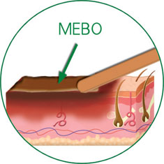 CC网投·(中国游)官方网站