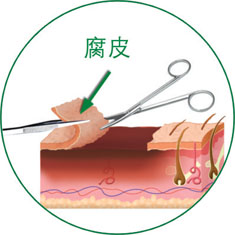 CC网投·(中国游)官方网站