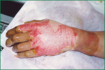 CC网投·(中国游)官方网站