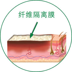 CC网投·(中国游)官方网站