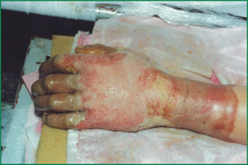 CC网投·(中国游)官方网站