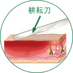CC网投·(中国游)官方网站