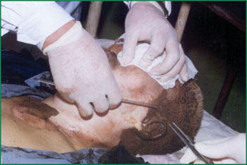 CC网投·(中国游)官方网站