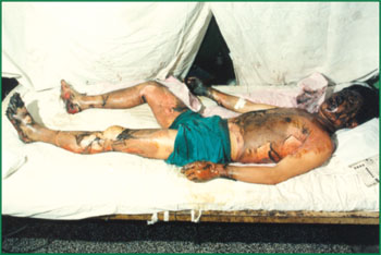 CC网投·(中国游)官方网站