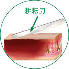 CC网投·(中国游)官方网站