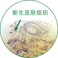 CC网投·(中国游)官方网站