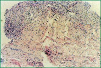 CC网投·(中国游)官方网站