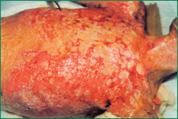 CC网投·(中国游)官方网站