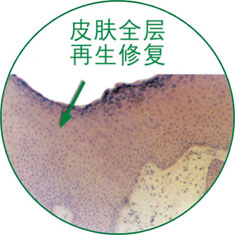 CC网投·(中国游)官方网站