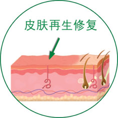 CC网投·(中国游)官方网站