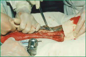 CC网投·(中国游)官方网站