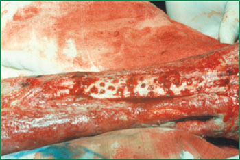 CC网投·(中国游)官方网站