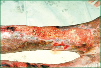 CC网投·(中国游)官方网站