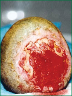 CC网投·(中国游)官方网站