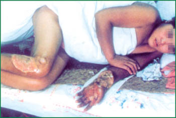 CC网投·(中国游)官方网站