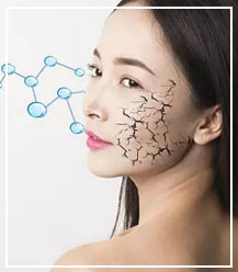 CC网投·(中国游)官方网站