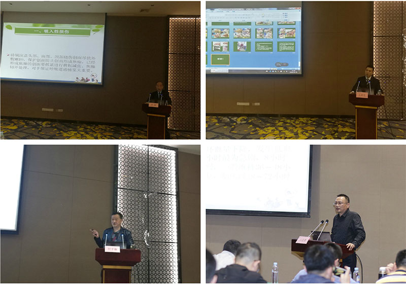 CC网投·(中国游)官方网站