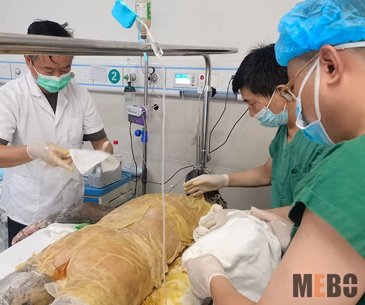 CC网投·(中国游)官方网站