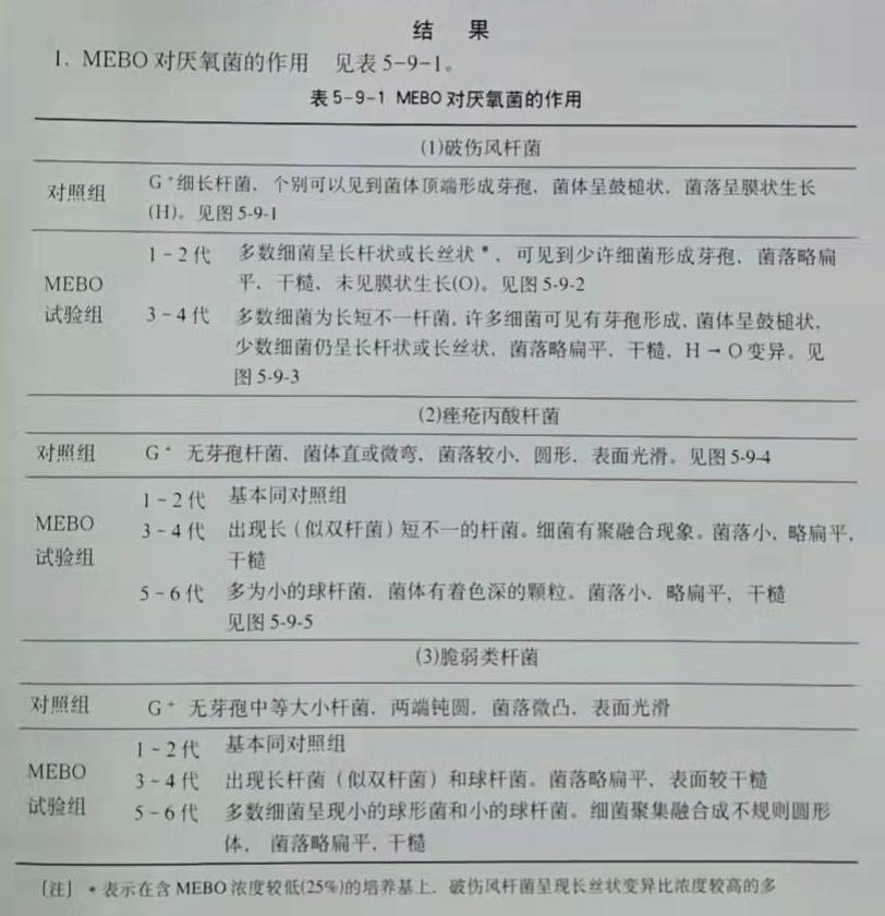 CC网投·(中国游)官方网站