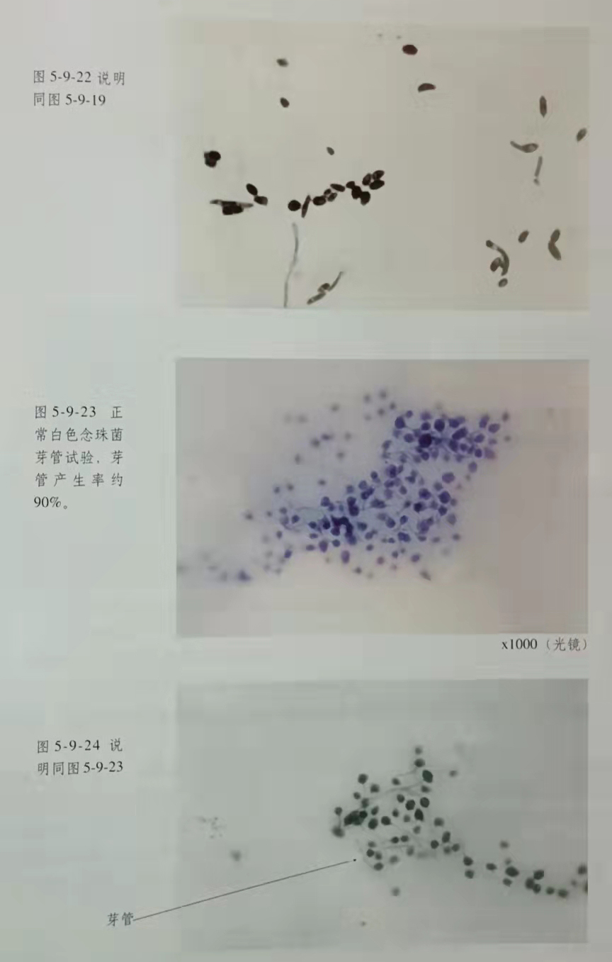 CC网投·(中国游)官方网站