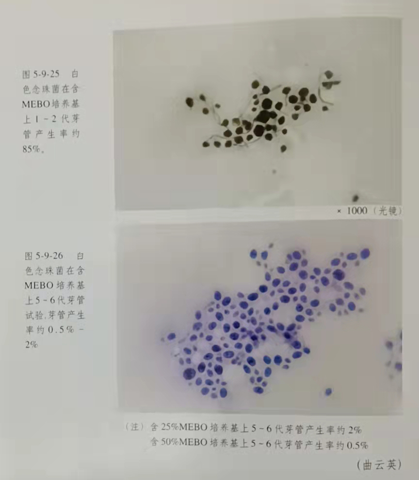 CC网投·(中国游)官方网站