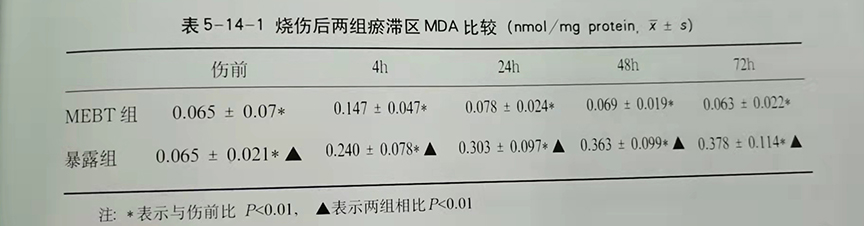 CC网投·(中国游)官方网站