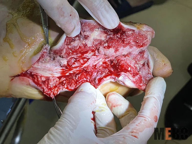 CC网投·(中国游)官方网站