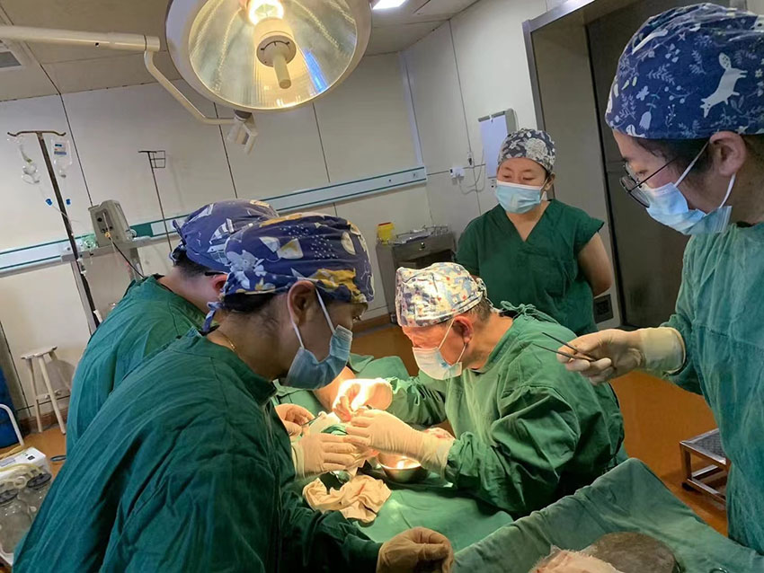 CC网投·(中国游)官方网站