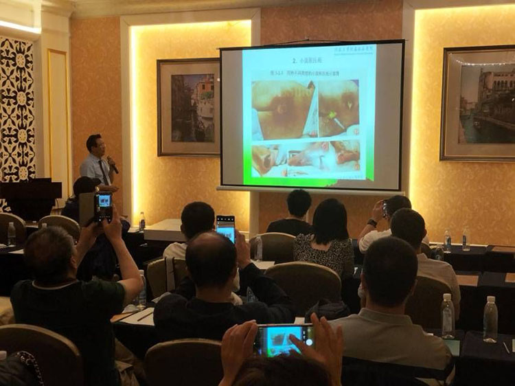 CC网投·(中国游)官方网站