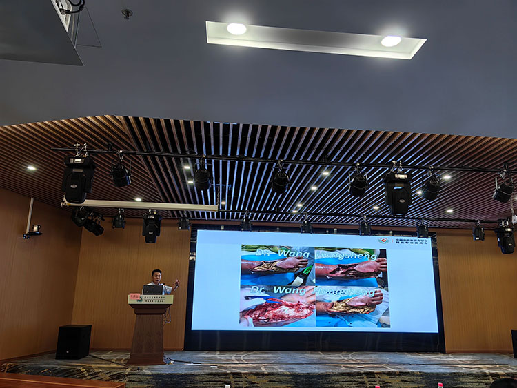 CC网投·(中国游)官方网站